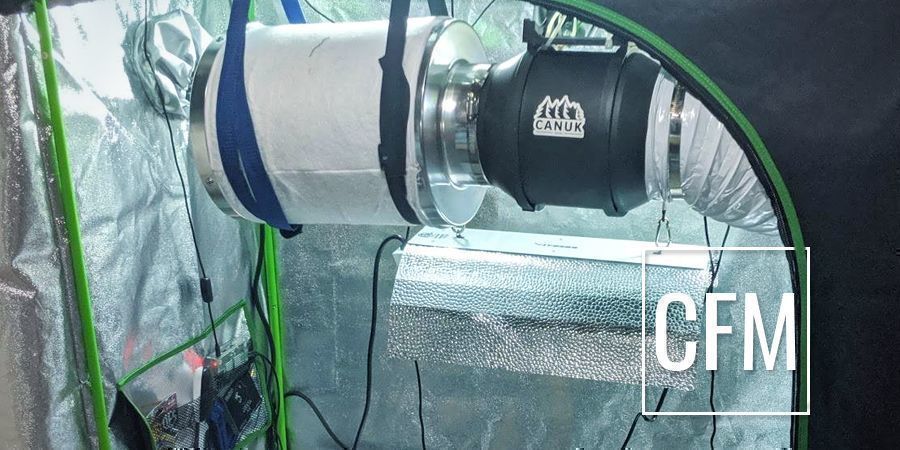 Best carbon filter for sales weed